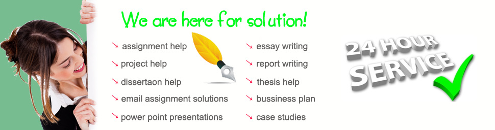 essay writing homework help